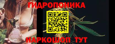 дживик Новодвинск