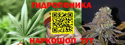 дживик Новодвинск
