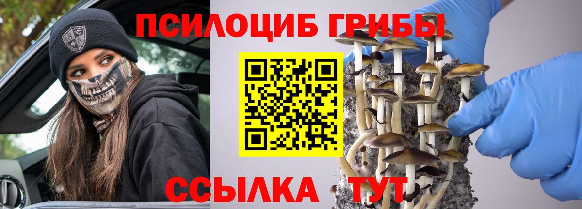 Галлюциногенные грибы прущие грибы Оренбург